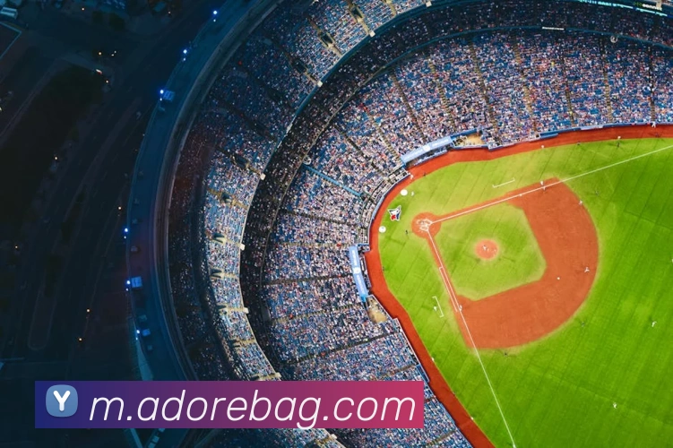 ag百家乐APP 封面图